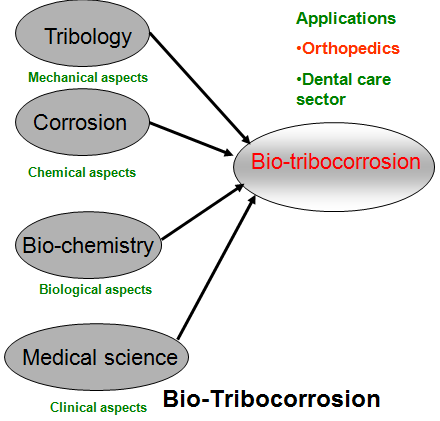 bio-tribocorrosion picture